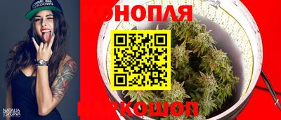 прущие грибы Донецк