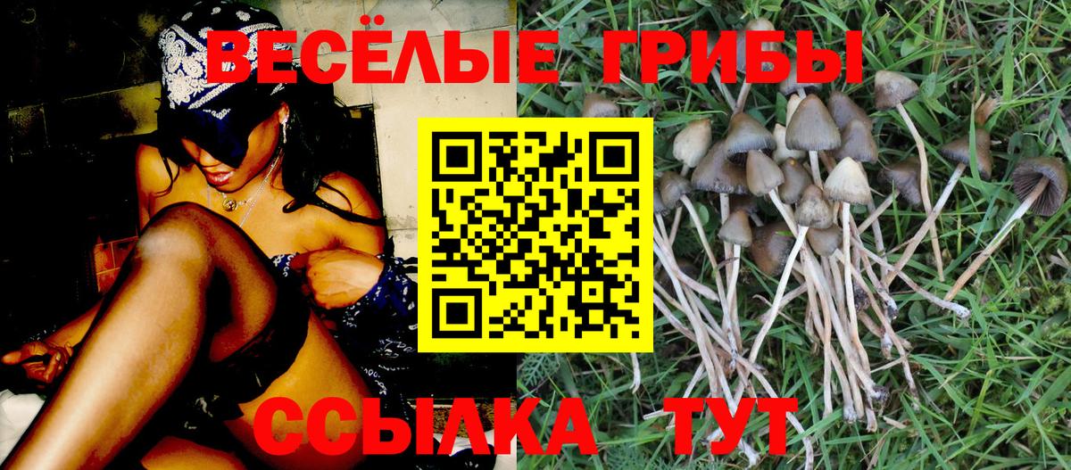 Галлюциногенные грибы ЛСД Ликино-Дулёво