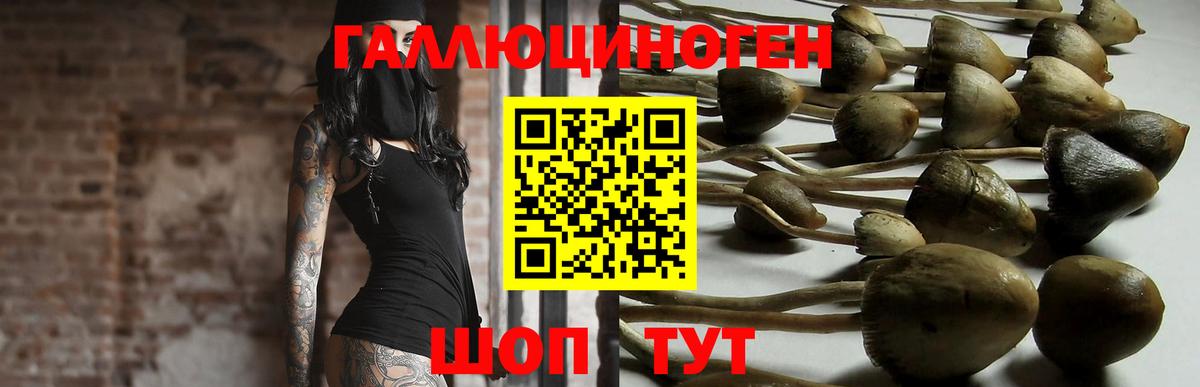 Псилоцибиновые грибы прущие грибы  Галлюциногенные грибы Magic Shrooms  Ликино-Дулёво  Вход с VPN 